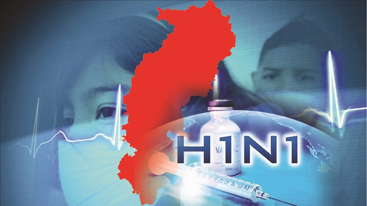 09_09_2024-swine_flu_graphics