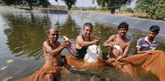 बॉयोफ्लॉक तकनीक से मछली पालन कर संजय सुमन ने कमाए साल में 3.20 लाख