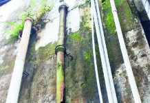 कंपनी वेलफेयर कमेटी सदस्य कालोनी का करेंगे निरीक्षण