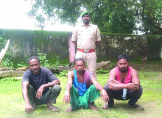 हाथी की मौत, गिरफ्तार ग्रामीणों को वन विभाग पेश करेगा कोर्ट में