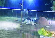 चचिया में दंतैल हाथी ने तोड़ी फेंसिंग, धान के स्टॉक के पास विचरण से बढ़ी मुश्किलेें