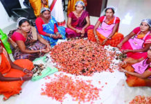 सुरक्षित होली के लिए महिला समूह बना रहे हर्बल गुलाल