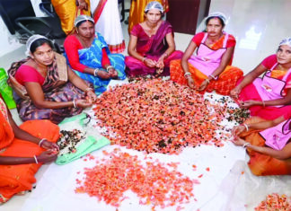 सुरक्षित होली के लिए महिला समूह बना रहे हर्बल गुलाल