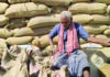 हमाल नहीं उपार्जन केंद्र में, किसानों को धान के बारदाने खुद सिलने बनानी पड़ रही मानसिकता