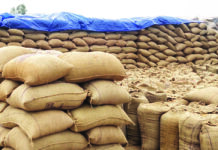 जिले में 27.51 लाख मीट्रिक टन धान की खरीदी के विरुद्ध धान का उठाव कमजोर, समितियां चिंतित