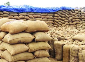 जिले में 27.51 लाख मीट्रिक टन धान की खरीदी के विरुद्ध धान का उठाव कमजोर, समितियां चिंतित