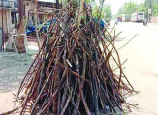 होलिका की तैयारी, पुलिस अलर्ट