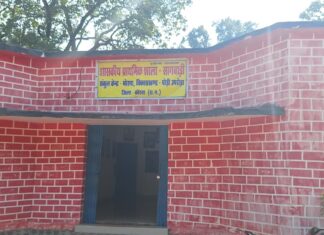 वनांचल ग्राम सागबाड़ी प्राथमिक शाला में दो शिक्षकों से बदल रही शिक्षा की तस्वीर