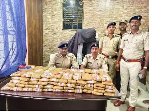 3921251-untitled-95-copy (1)