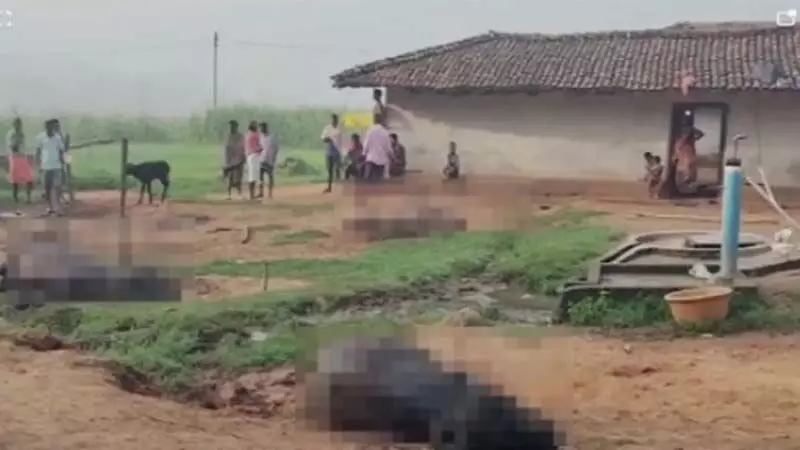 4011084-untitled-37-copy