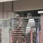 4865139-untitled-42-copy