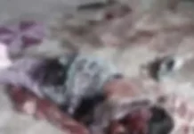 कोरबा में जघन्य घरेलू हिंसा, पत्नी मां और बहन को शख्स ने किया लहूलुहान