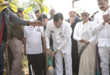 एक पेड़ मां के नाम अभियान के तहत किया पौधरोपण