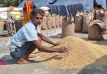 किसानों के लिए राहत की खबर: एकीकृत किसान पोर्टल पर 31 जनवरी 2026 तक पंजीयन एवं विवरण संशोधन की समय-सीमा बढ़ी