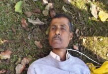 जंगल में पेड़ पर लटका मिला वृद्ध का शव