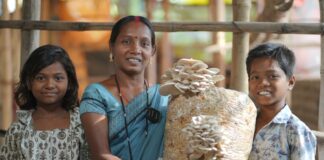 बालको की उन्नति परियोजना ने बदली ज़िंदगी, गंगोत्री से मशरूम दीदी बनने का सफर