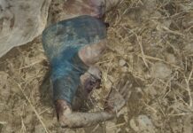 KORBA BREAK: हाथी ने ले ली एक जान