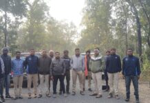 कोरबा में हाथी पर कड़ी नजर: थर्मल ड्रोन से पल-पल की ट्रैकिंग, एक परिवार की बची जान