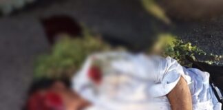 ब्रेकिंग कोरबा कुसमुंडा मार्ग पर हुआ हादसा, तेज ट्रेलर की चपेट में आने से रिटायर्ड SECL कर्मी की हुई मौत