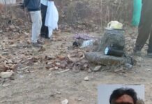 कोरबा: कुदमुरा धान उपार्जन केंद्र में हाथी का हमला, प्रभारी की मौत