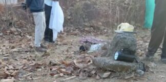 कोरबा: कुदमुरा धान उपार्जन केंद्र में हाथी का हमला, प्रभारी की मौत