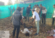 धान की रखवाली कर रहे उपार्जन केन्द्र प्रभारी को हाथी ने कुचला