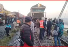 8 हाथियों की मौत, ट्रेन की चपेट में आए, मचा हडक़ंप