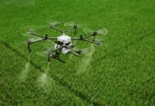 एआई तकनीक से बदलेगी हाइड्रोपोनिक खेती की सूरत, होगा ३ गुना अधिक उत्पादन