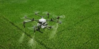 एआई तकनीक से बदलेगी हाइड्रोपोनिक खेती की सूरत, होगा ३ गुना अधिक उत्पादन