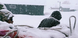 बर्फ में फंसी जिंदगियां… लापता हुए 47 मजदूरों को बचाया गया, 8 की तलाश जारी