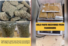 एयरपोर्ट पर बड़ी कार्रवाई: 20 करोड़ का मारिजुआना, 1.78 करोड़ का सोना जब्त
