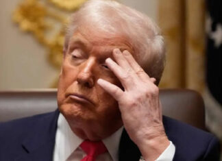 पुतिन के दौरे के बाद भारत के मुरीद हुए पूर्व अमेरिकी अधिकारी, डोनल्ड ट्रंप पर कसा तंज