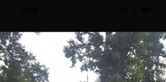 कई गाडिय़ों से निकाली ब्लेक फि़ल्म, की गई पेनाल्टी