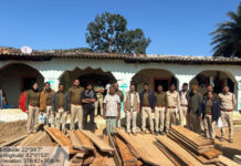 बड़ी मात्रा में कीमती लकडिय़ों को तीन घरों से बरामद किया फारेस्ट अमले ने