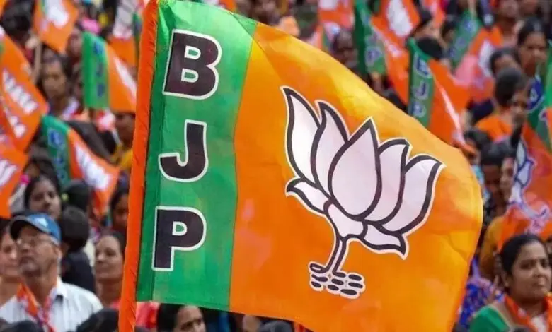 bjp-jhanda-2-780x470