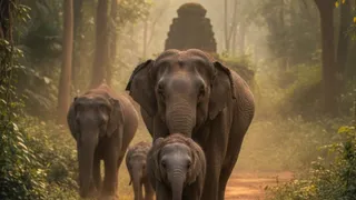 dehradun-news-(9)-1771634272211_m