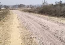 60 लाख के डब्लूएमएम सडक़ की गिट्टियां उखड़ रही, आवाजाही में परेशानी