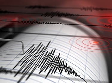 earthquake_rajasthan___1739453701642_1739453718118