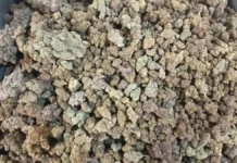 IGI एयरपोर्ट बना नशा तस्करों का अड्डा, एक साल में 133 करोड़ के ड्रग्स जब्त; बैंकॉक रूट सबसे बड़ा सिरदर्द