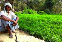 रकबा कटौती से किसान परेशान, समाधान में देरी