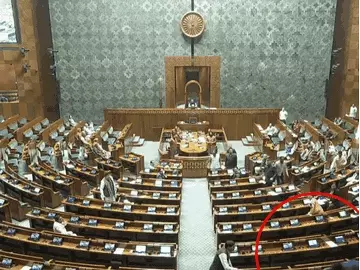 ls-gif_1702454062