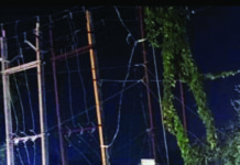 नशे में ड्राइविंग:1663 मामलों में बड़ी पेनाल्टी