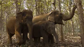 vantara-one-year-1772469063528_m